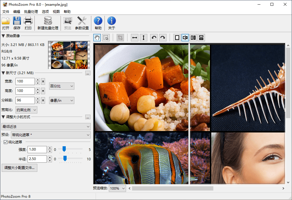 Benvista PhotoZoom Pro v8.0.6 / v7.1.0 图像无损放大软件免费版